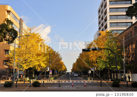 秋の横浜　日本大通り 13190830