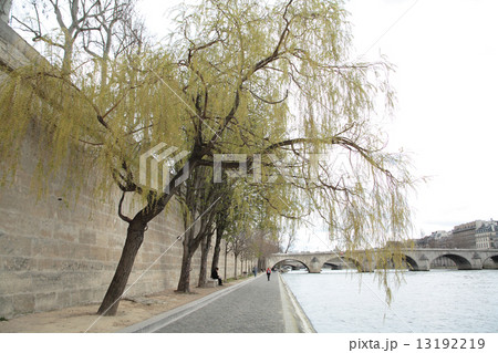 フランス、パリ、セーヌ河畔 13192219