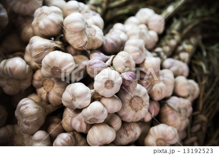 Large bunch of white garlic hanging on the counter 13192523