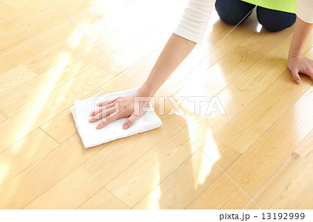 掃除をする女性 掃除をする女性 13192999