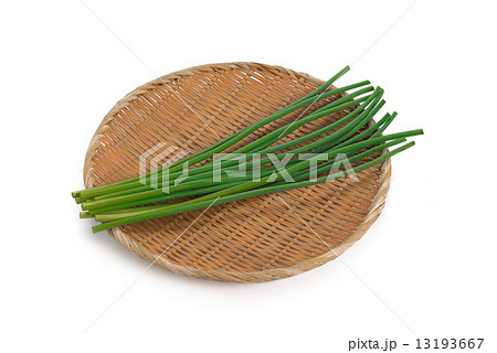 ニンニクの芽 ニンニクの芽 13193667