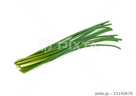 ニンニクの芽 ニンニクの芽 13193670