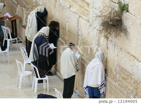 嘆きの壁 13194005