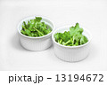小分けしたパクチー（コリアンダー） 13194672