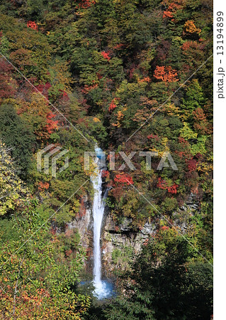 駒止の滝と紅葉 13194899