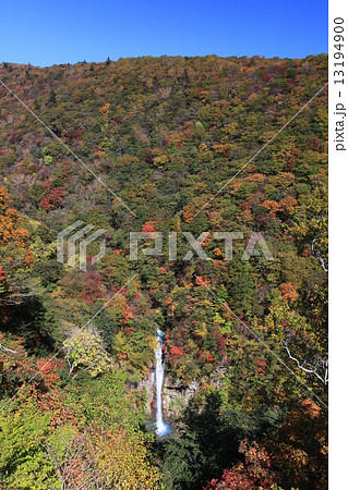 駒止の滝と紅葉 13194900