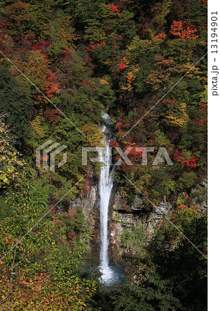 駒止の滝と紅葉 駒止の滝と紅葉 13194901