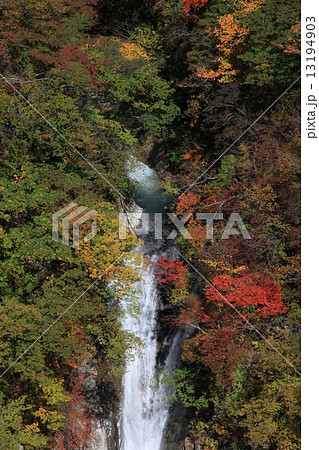 駒止の滝と紅葉 13194903