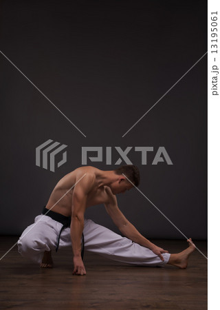 Handsome karate enthusiast Handsome karate enthusiast 13195061