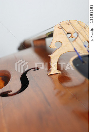contrabass 13195195