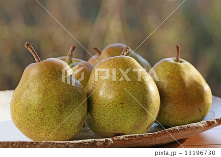 ラフランス 13196730