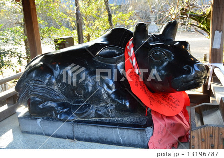 北野天満宮の「臥牛像」（京都市上京区馬喰町） 13196787