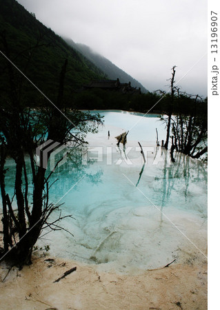 黄龍 黄龍 13196907