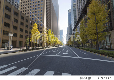 丸ノ内 大手町 高層ビル街の通り 丸ノ内 大手町 高層ビル街の通り 13197437