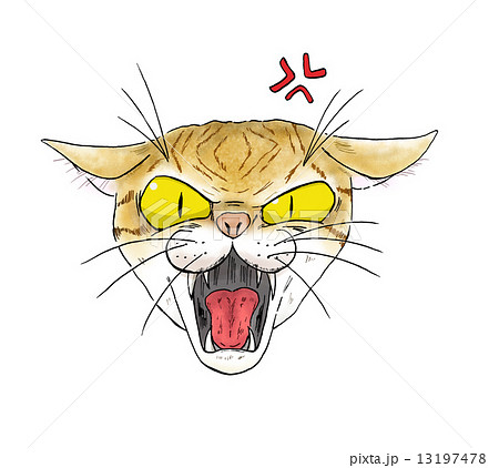 猛猫注意 手描き風 のイラスト素材