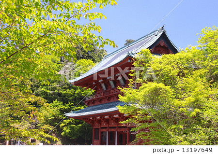 「世界文化遺産」高野山、大門（国指定重要文化財）と新緑風景 13197649