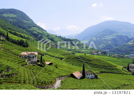 サンタ・マッダレーナの丘　santa　maddalena 13197821