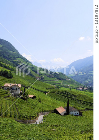 サンタ・マッダレーナの丘 santa maddalena サンタ・マッダレーナの丘 santa maddalena 13197822