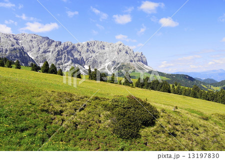 オドレ・ディ・エオレス　odle　di　eores　　　tullen 13197830