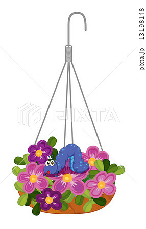 Hanging plants with a caterpillar Hanging plants with a caterpillar 13198148