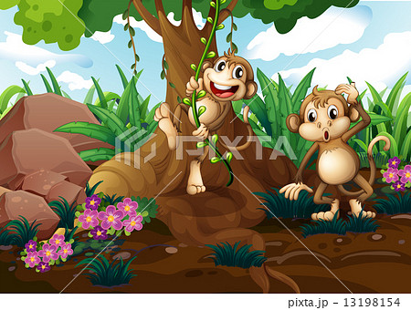 Monkeys playing under the tree 13198154