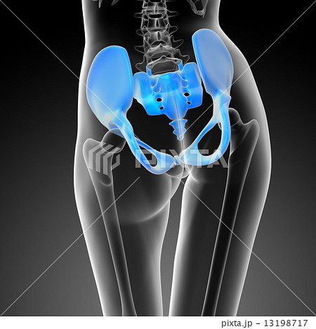3d render medical illustration of the hip bone 13198717