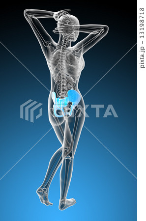 3d render medical illustration of the hip bone 13198718