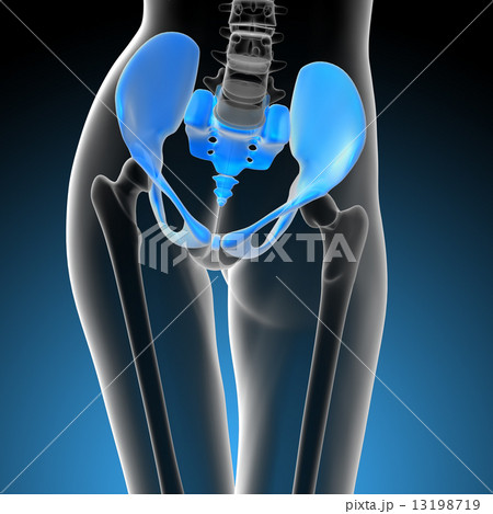 3d render medical illustration of the hip bone 13198719