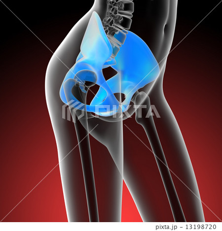 3d render medical illustration of the hip bone 13198720