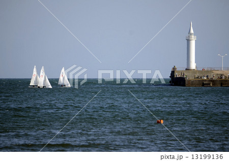 灯台とヨット 13199136