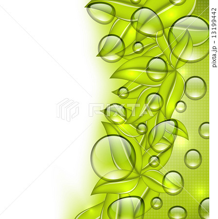 Water drops on fresh green leaves texture, copy space for your t Water drops on fresh green leaves texture, copy space for your t 13199442
