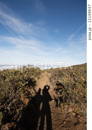 Trail along Halekala, Maui 13199647