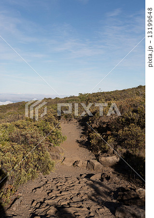 Trail along Haleakala, Maui 13199648