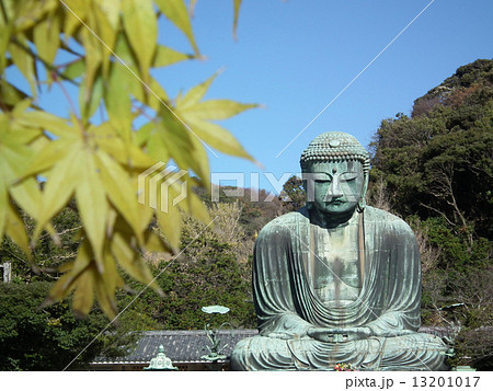 鎌倉 大仏 鎌倉 大仏 13201017