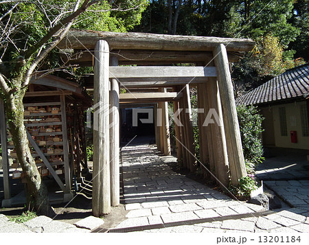 銭洗弁天　鎌倉 13201184