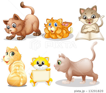 Cat set 13201820