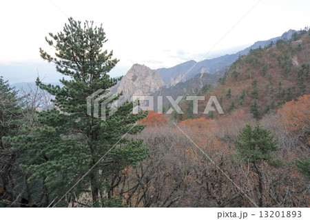 Seoraksan National Park Seoraksan National Park 13201893