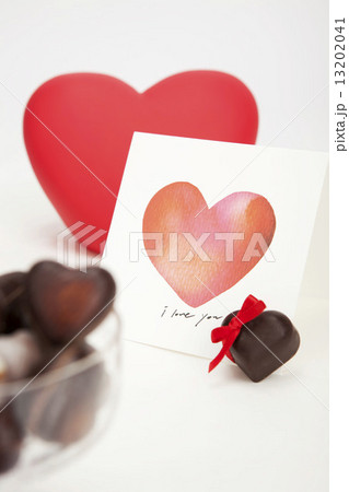 バレンタイン 13202041