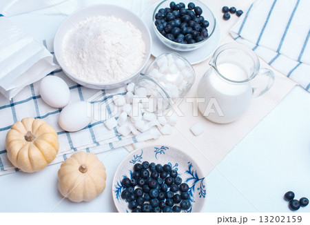 ingredients 13202159