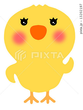 ひよこ 13202197