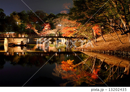 彦根城玄宮園の紅葉ライトアップの写真素材