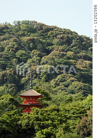 子安の塔 13202566