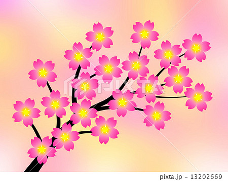 桜の花 13202669