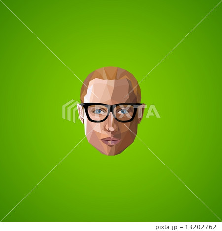 illustration with an caucasian guy face in polygonal style 13202762