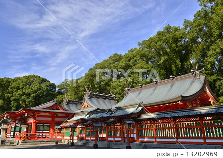 熊野速玉大社の全貌 熊野速玉大社の全貌 13202969