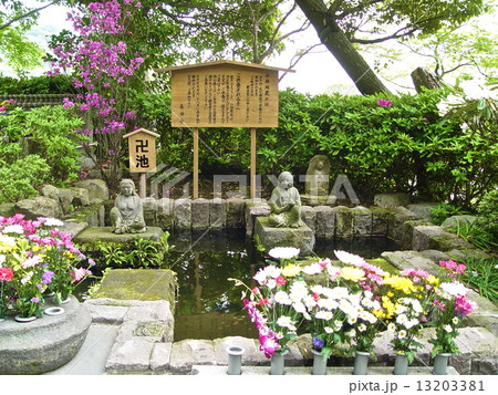 卍池（長谷寺／神奈川県鎌倉市長谷） 13203381