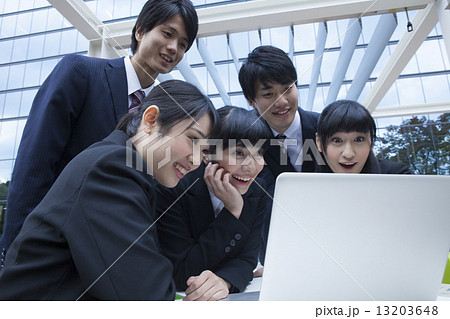 調べものをする新社会人 13203648
