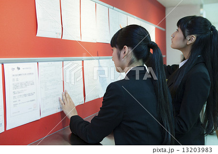 求人情報を閲覧する学生 求人情報を閲覧する学生 13203983
