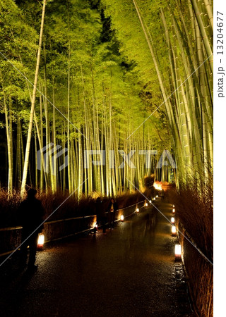 嵐山花灯路2014 13204677