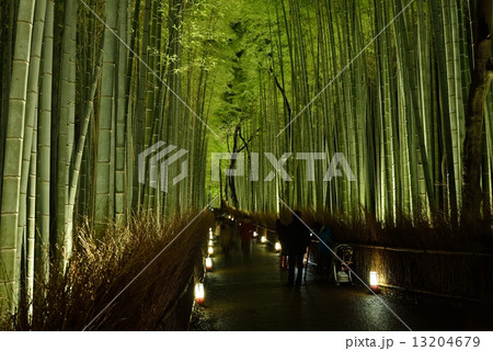 嵐山花灯路2014 13204679